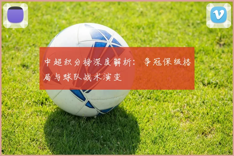 中超积分榜深度解析：争冠保级格局与球队战术演变